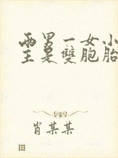 两男一女小说男主是双胞胎