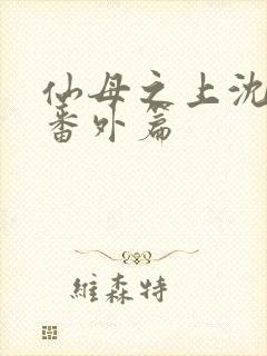 仙母之上沈露华番外篇封面