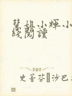 慧姐小辉小说在线阅读