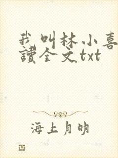 我叫林小喜全阅读全文txt
