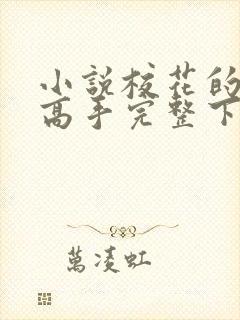 小说校花的贴身高手完整下载