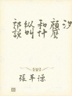 祁纵和颜汐的小说叫什么封面