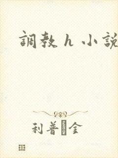 调教 h 小说