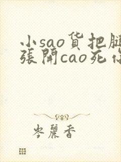 小sao货把腿张开cao死你小说