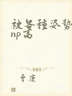 被各种姿势玩弄np高