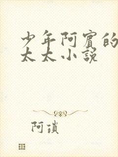 少年阿宾的房东太太小说