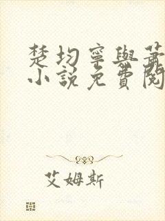 楚均宁与萧王的小说免费阅读全文封面