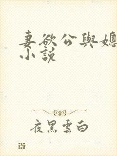 妻欲公与媳姚瑶小说封面