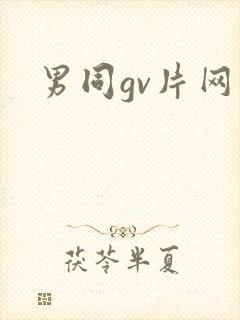 男同gv片网站