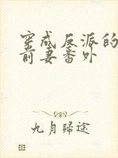 穿成反派的炮灰前妻番外