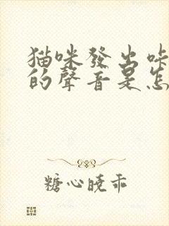 猫咪发出咔咔咔的声音是怎么回事