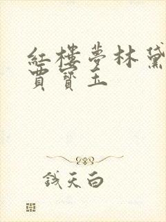 红楼梦林黛玉和贾宝玉封面