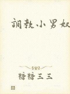 调教小男奴小说