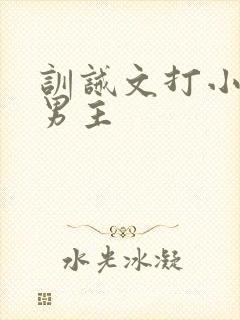 训诫文打小花双男主