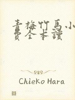 青梅竹马小说免费全本读