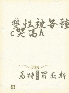 双性被各种姿势c哭高h