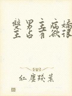 双男主病娇文男主占有欲很强