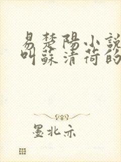 易楚阳小说女主叫苏清荷的小说名字封面