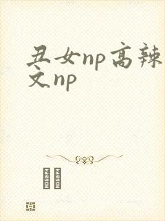 丑女np高辣h文np