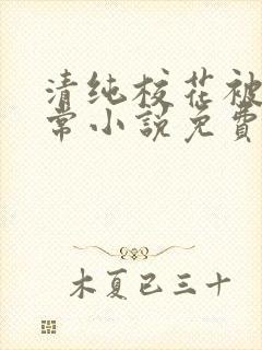 清纯校花被擒日常小说免费阅读全文封面