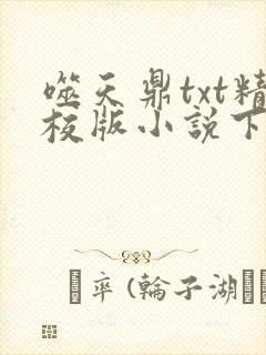 噬天鼎txt精校版小说下载