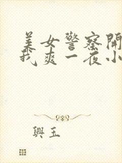 美女警察开腿让我爽一夜小说封面