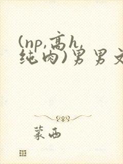 (np,高h,纯肉)男男文