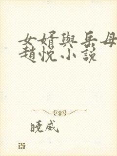 女婿与岳母陈超赵悦小说