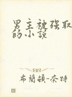 男主被强取豪夺的小说