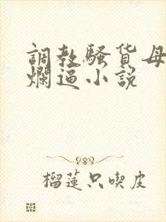 调教骚货母狗的烂逼小说