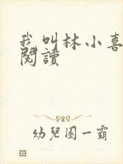 我叫林小喜在线阅读