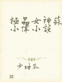 极品女神苏晴陆小伟小说