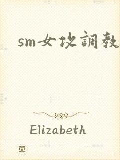 sm女攻调教文