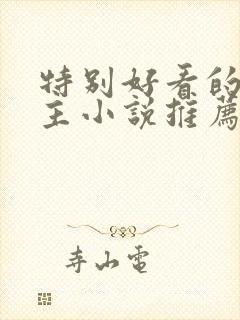 特别好看的双男主小说推荐