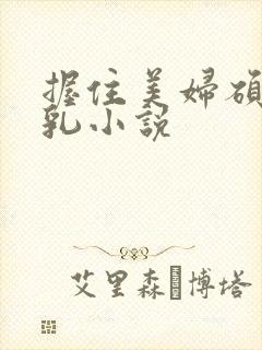 握住美妇硕大双乳小说