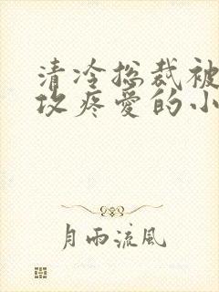 清冷总裁被丑老攻疼爱的小说封面