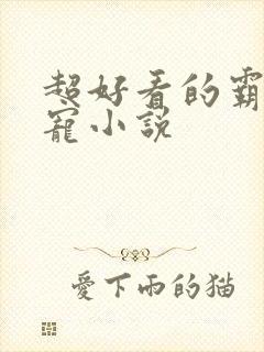 超好看的霸道甜宠小说