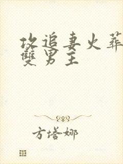 攻追妻火葬场的双男主封面