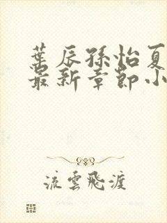 叶辰孙怡夏若雪最新章节小说心封面