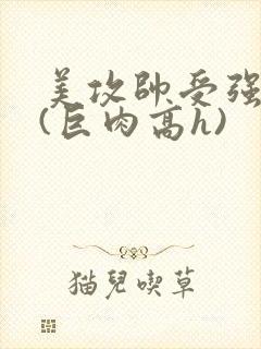 美攻帅受强制爱(巨肉高h)封面