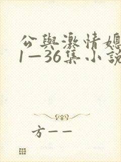 公与激情媳系列1—36集小说封面
