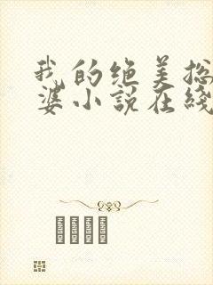 我的绝美总裁老婆小说在线阅读