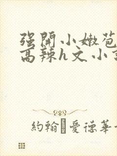 强开小嫩苞h文高辣h文小说