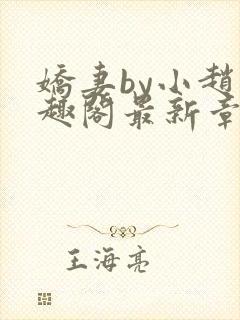 娇妻by小赵笔趣阁最新章节更新时间