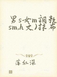 男s女m调教(sm,h文)抹布文