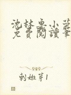 沈林鲁小荣小说免费阅读笔趣阁