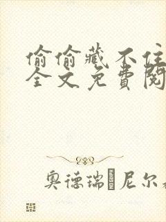 偷偷藏不住小说全文免费阅读番外封面