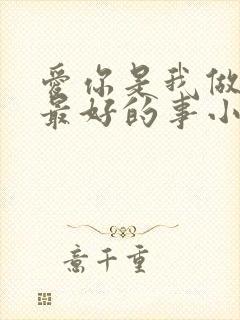 爱你是我做过的最好的事小说