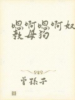 嗯啊嗯啊奴h调教母狗