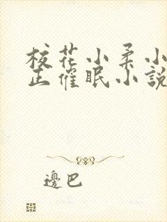 校花小柔小刚小正催眠小说封面